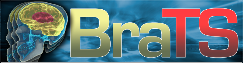 BraTS 2024 Logo