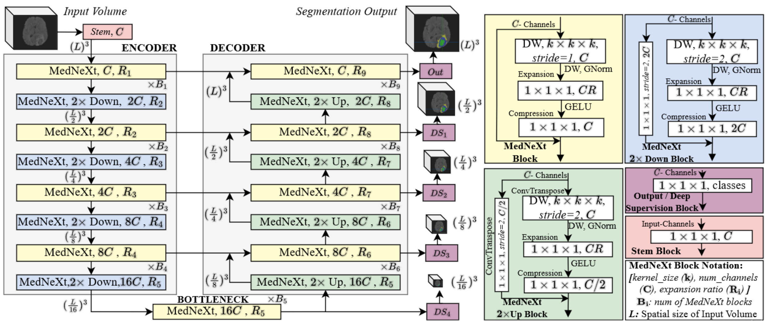 MedNeXt Architecture